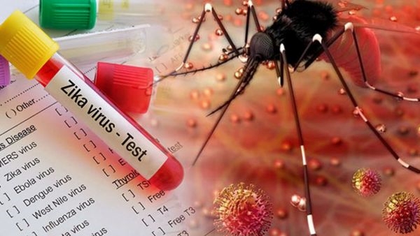 Zika Virus 2 cases Found in Pune Know Symptoms and Precautions
