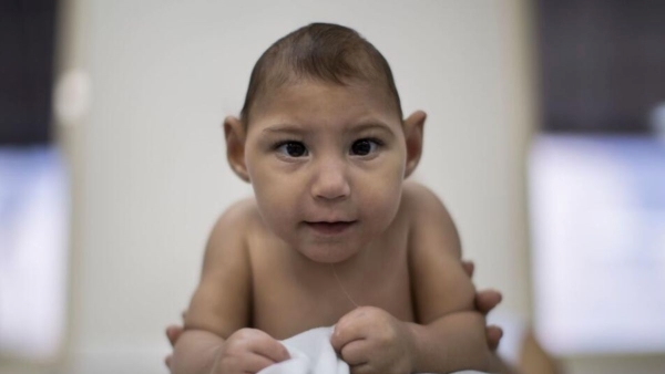 Zika Virus In Maharashtra