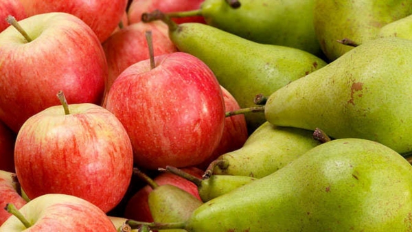 Apple vs Pear Which Fruit is Better Nutrition value And Health Benefits