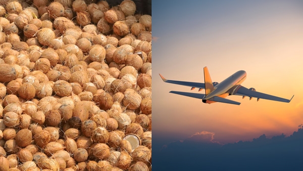 The fruit banned by airlines For good reason