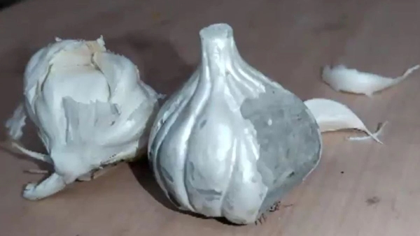 Fake Garlic Made With Cement Found In Maharashtra