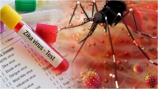 Five Zika virus cases detected in Bengaluru