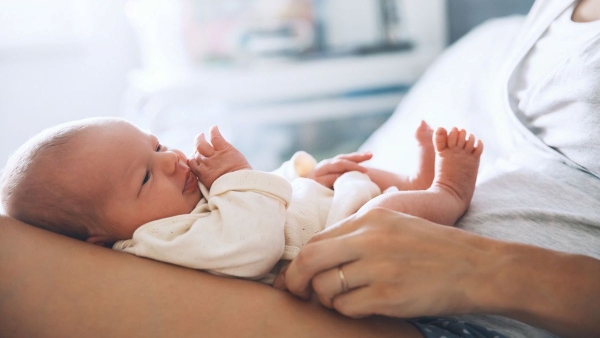 Growth amp amp Nutrition Guide for 0 To 6 Month Baby Food By Expert