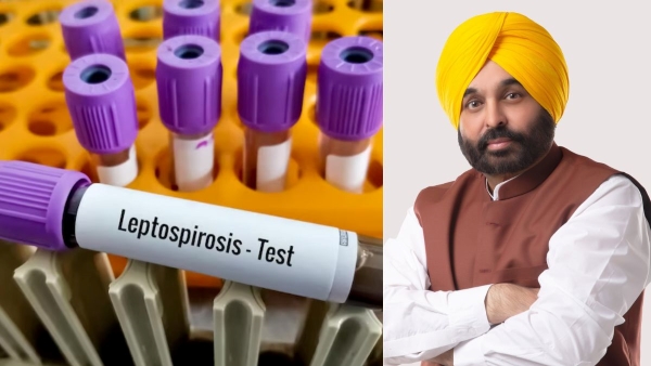 Punjab CM Bhagwant Mann diagnosed with leptospirosis