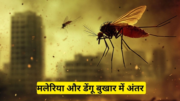 Dengue Vs Malaria