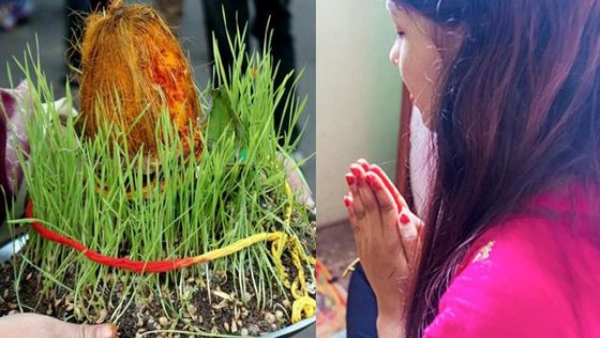 Shardiya navratri 2024 jau kaise ugaye how to grow jowar during navratri check the vidhi