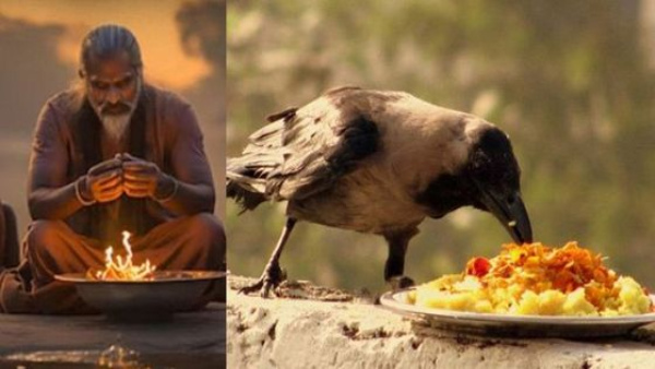 Pitru Paksha Me Panchbali Kya Hai Shradh Me Kauve Kutte Gaay Chinti ko khana kyu khilate hain