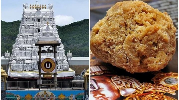 Tirupati Laddu