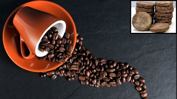 How to Test Coffee Quality