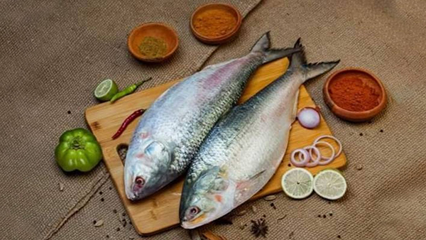 Hilsa Fish Health Benefits