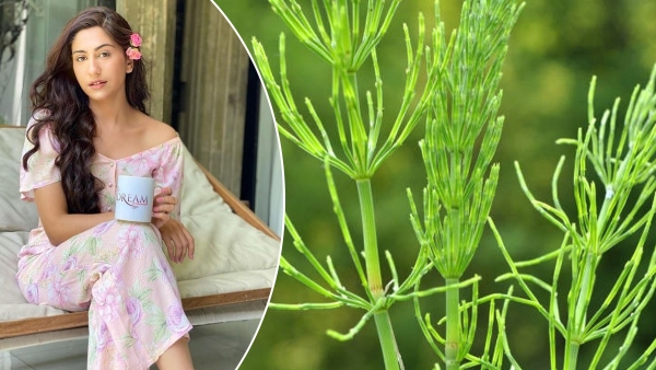 Kabhi Main Kabhi Tum Fame Pakistani Actress Naeema Butt