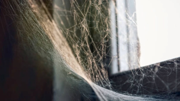 Diwali Cleaning Tips