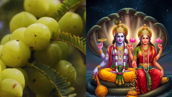 What should to eat in Amla Navami