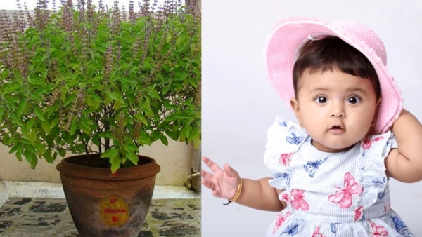 Girl Names Inspired By Tulsi