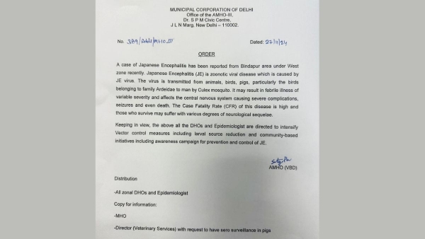 What Is Japanese Encephalitis