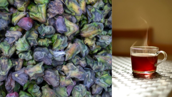 Singhara Tea Benefits