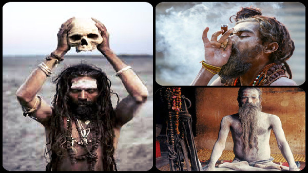 Mahakumbh 2025 Aghori Kaun Hote Hain Know About their Importance in Kumbh Mela