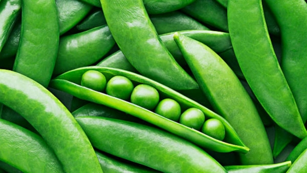 Peas Side Effects Peas Side Effects