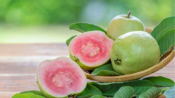 How Do You Pick a Sweet Guava Fruit