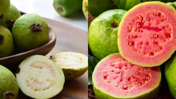 Red vs white guava benefits