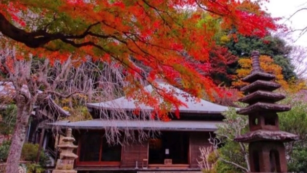 Divorce Temple In Japan