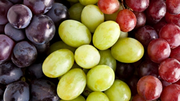 Black grapes vs green grapes vs red grapes