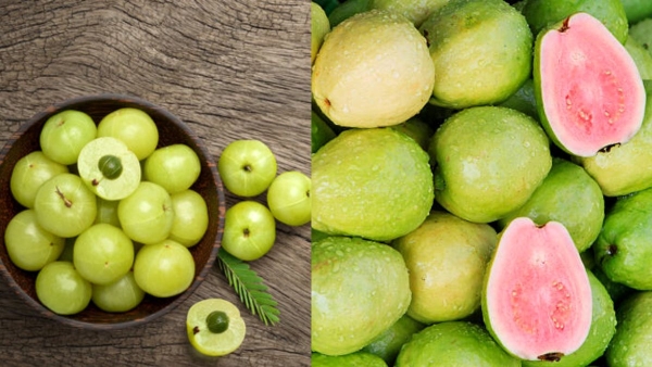 Guava vs Amla Guava vs Amla