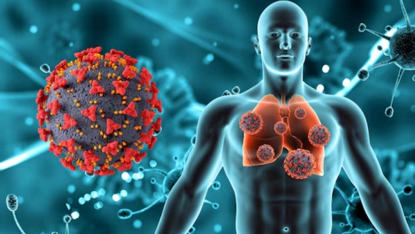Key Differences between HMPV vs RSV vs COVID-19