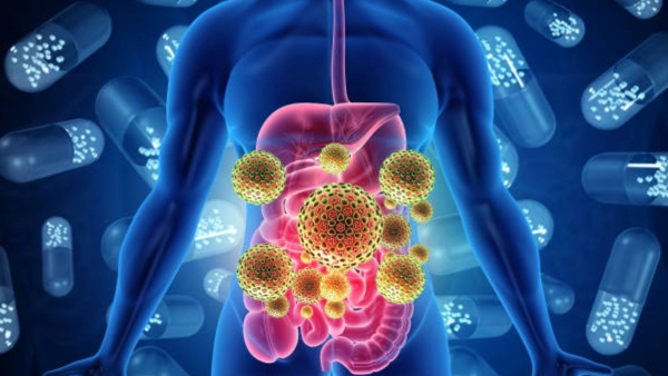 Difference between bacterial infections and viral Fever