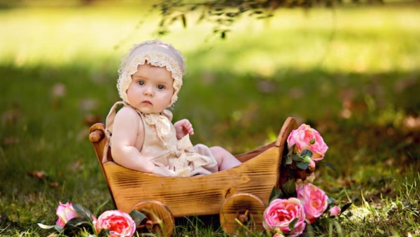 Baby Girl Names On Rose