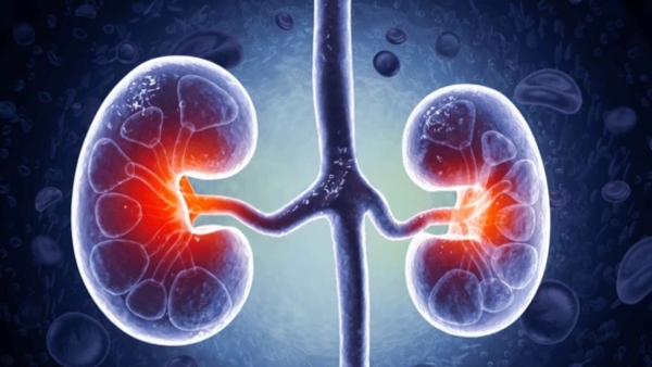 Third Kidney Transplant Has 5 Kidneys