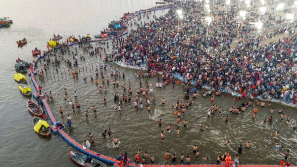 What is Faecal Coliform Bacteria