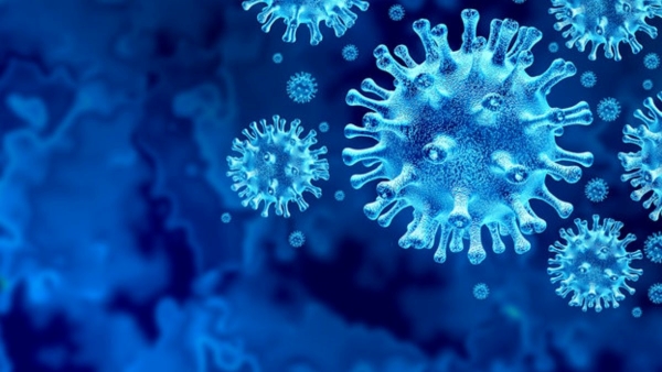 What is MERS What is MERS