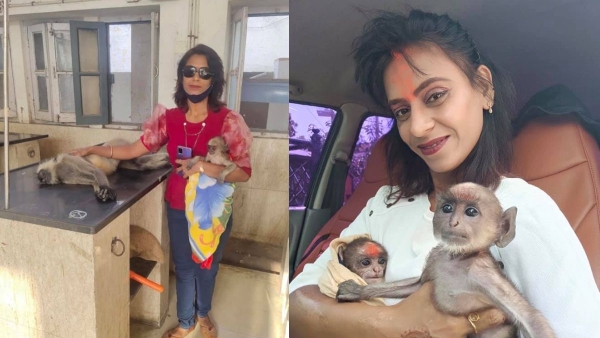 Monkey Mom Shalu Jain