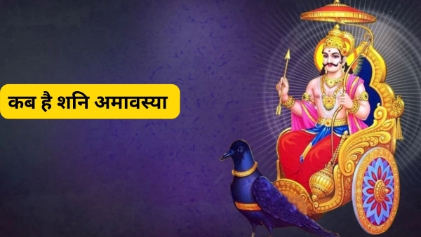 Shani Amavasya 2025
