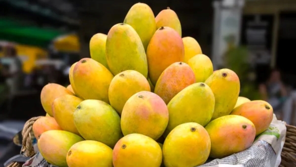 Which food should not eat with mango