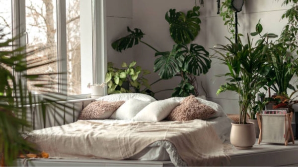 How to keep roof cool in summer naturally How to keep roof cool in summer naturally