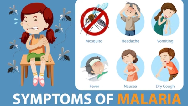 World Malaria Day 2025