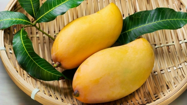 FSSAI Warns Against Usage Of Calcium Carbide FSSAI Warns Against Usage Of Calcium Carbide