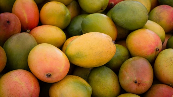 Mangoes
