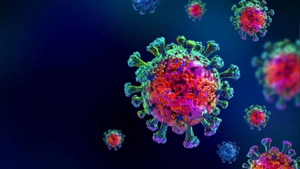 Corona Cases in India