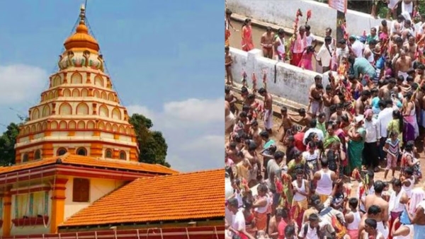 Essential Tips to Stay Safe in a Crowded Situation