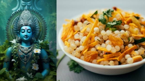 Mohini Ekadashi 2025