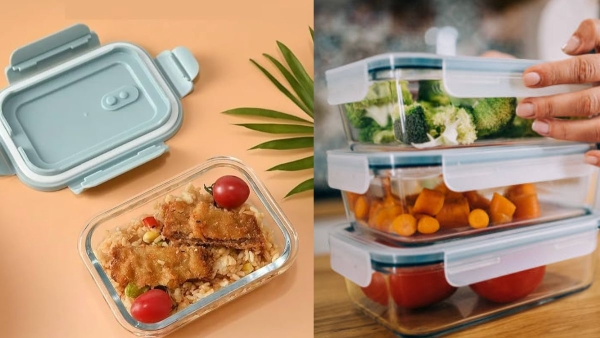 Plastic vs Glass Which Material is Best for Pack Lunch