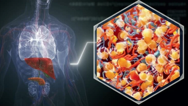 Sana Makbul health update