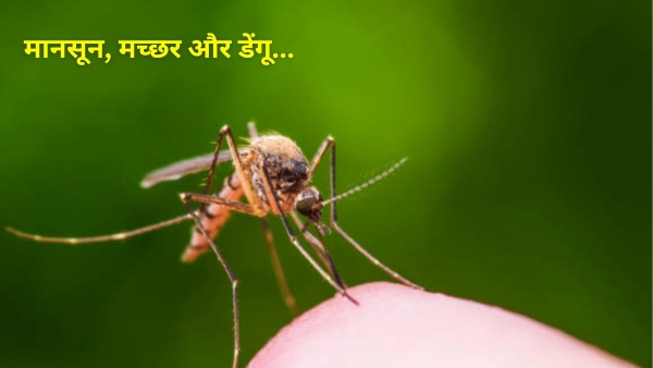 Dengue cases in Dehradun