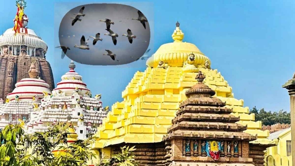Jagannath Puri Temple Mystery
