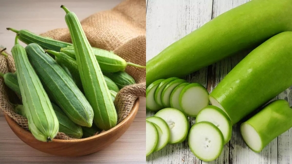 How to Identify Adulteration in Lauki and Tori or turai 5 Quick Tips