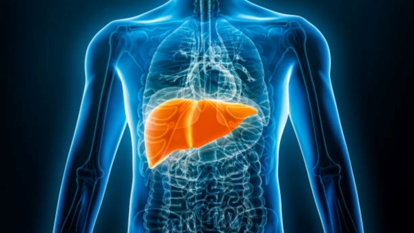 Simple Tips to Keep Your Liver Young