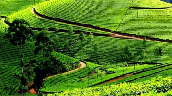 Uttarakhand Hill Station List